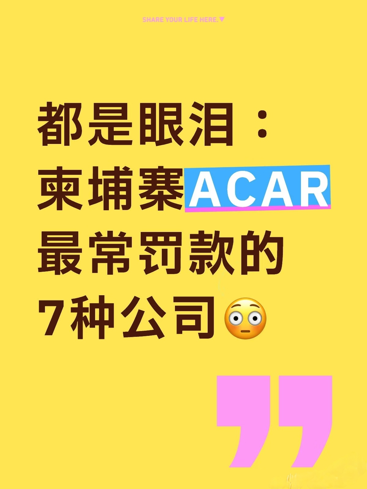 “ACAR到底最喜欢罚哪些公司？”